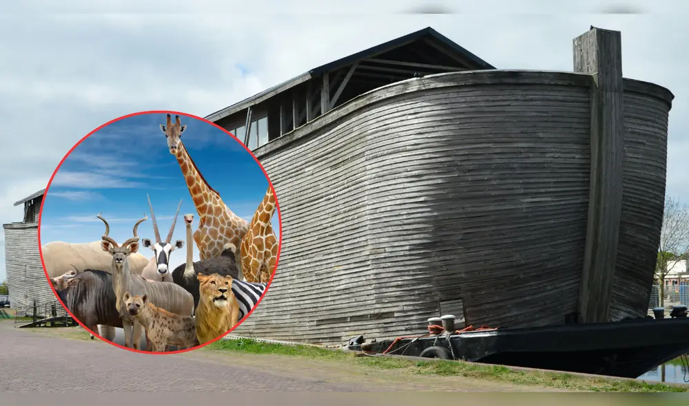 Cabe señalar que la inclusión de los animales marinos en el arca de Noé también es debatida. Cabe señalar que la inclusión de los animales marinos en el arca de Noé también es debatida.