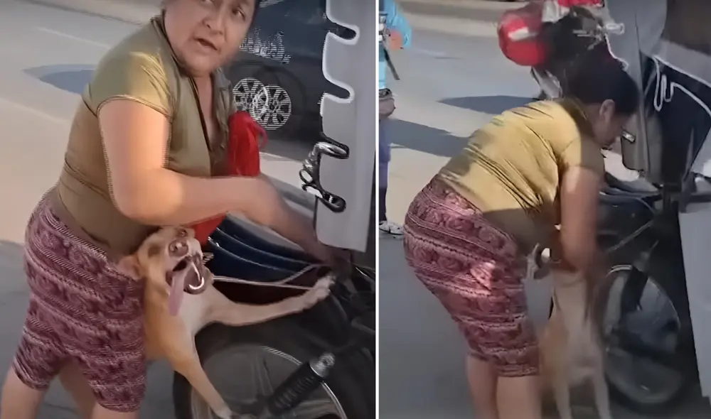 Perrito fue amarrado del cuello a la parte posterior de una mototaxi en movimiento. Foto: Composición LR/24 Horas