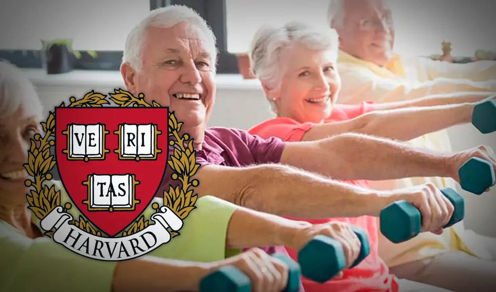 Harvard recomienda artes marciales para mayores de 60 años por sus beneficios físicos y mentales. Foto: composición LR/Freepik Harvard recomienda artes marciales para mayores de 60 años por sus beneficios físicos y mentales. Foto: composición LR/Freepik