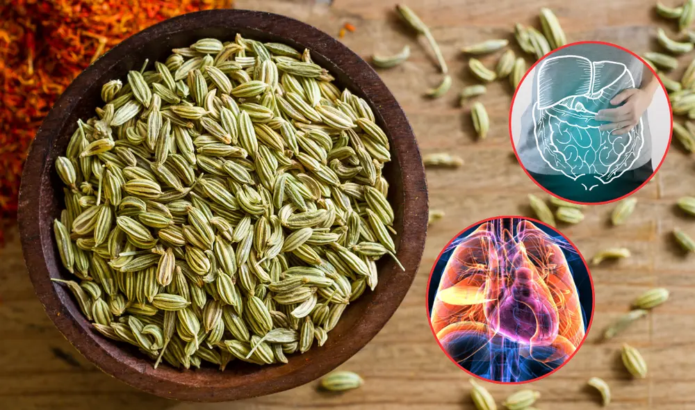 El hinojo es una planta medicinal. Foto: Composición LR