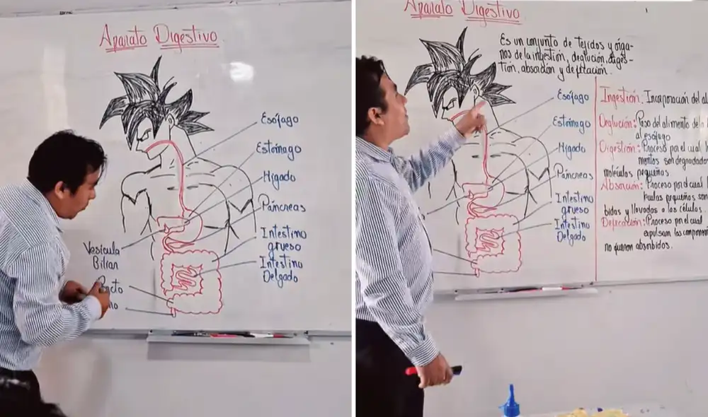 Docente causó furor en redes por dibujar a 'Goku' en su clase de Biología.