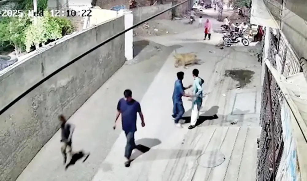 Los tres sufrieron arañazos en brazos y rostro, pero están fuera de peligro tras ser atendidos en un hospital. Los responsables del animal fueron arrestados tras el ataque. Foto: Captura