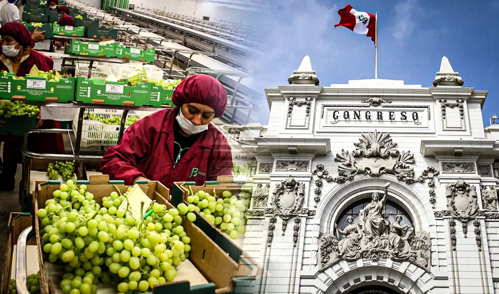 La Ley Chlimper 2.0 que ya fue aprobada en primera votación y ahora, el Congreso pretende ratificarla. Foto: composición LR/Andina/Congreso