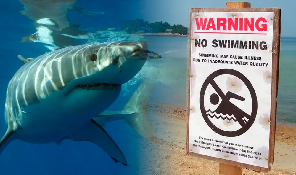 Tiburones fueron vistos en Nueva York, por lo que se tuvo que cerrar playas.
