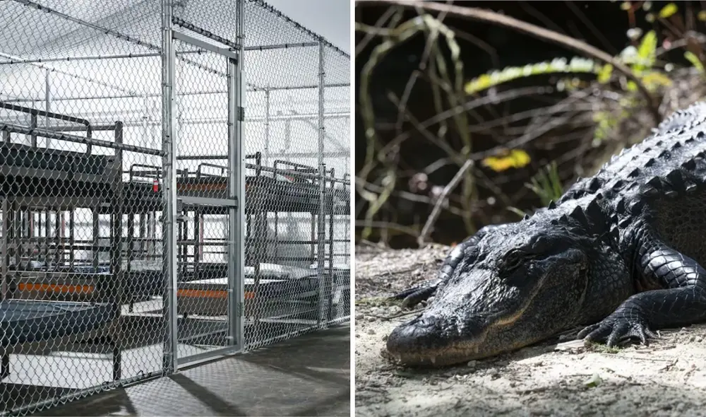 La alcaldesa de Miami-Dade exige acceso inmediato al centro y monitoreo sobre las condiciones de los migrantes. Foto: composición LR/EFE