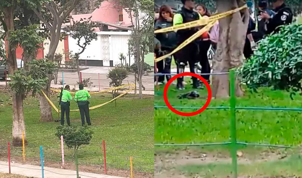 Ministerio Público y Policía Nacional investiga hallazgo de feto en San Juan de Lurigancho.