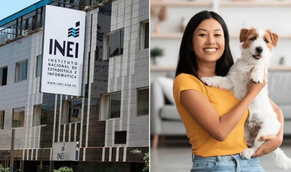 El INEI, esta vez, en el Censo incluirá a las mascotas.