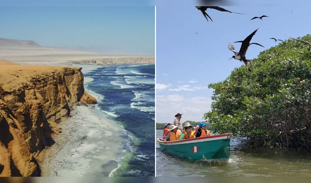 La oferta de 2x1 estará disponible desde el 26 hasta el 29 de julio. Conoce las ANP que ofrecen esta promoción en esta nota. La oferta de 2x1 estará disponible desde el 26 hasta el 29 de julio. Conoce las ANP que ofrecen esta promoción en esta nota.