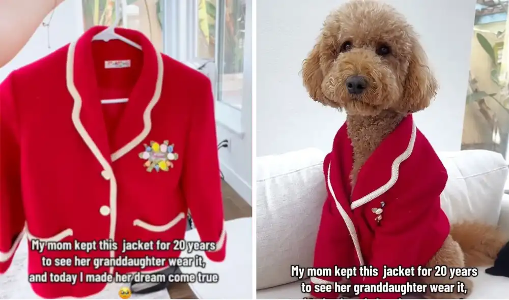 Un perro llamado Bailey fue vestido con una chaqueta familiar de hace tres generaciones de su dueña Paula. Un perro llamado Bailey fue vestido con una chaqueta familiar de hace tres generaciones de su dueña Paula.