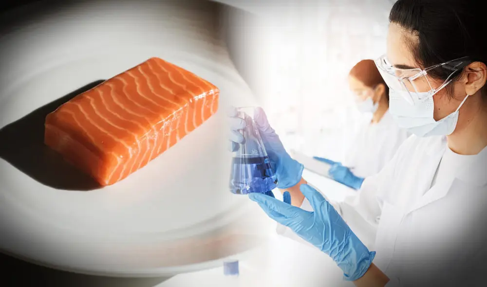 Este salmón es creado totalmente en un laboratorio, ayudando a la conservación de la especie.