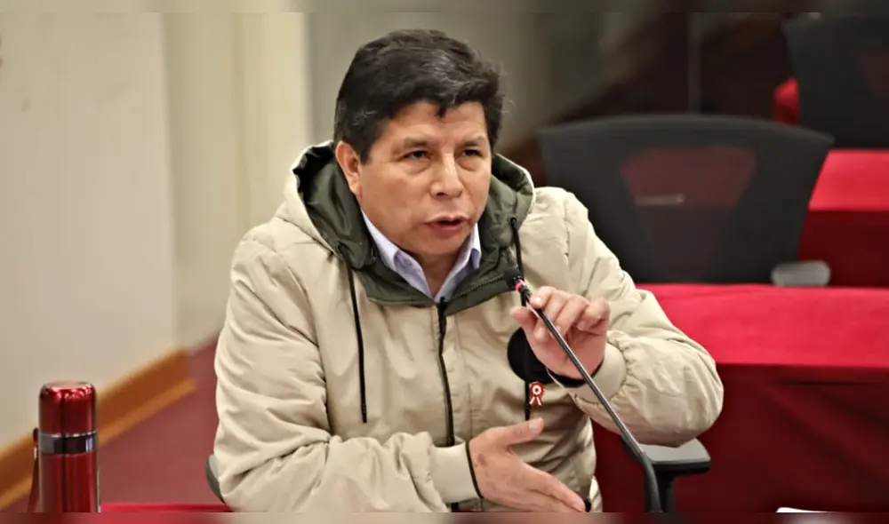 Pedro Castillo señaló que la jueza Norma Carbajal ha contaminado el proceso en su contra. Foto: PJ