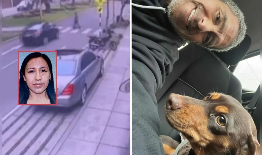 Mascota que fue arrollada junto a paseadora es encontrada por su familia en Miraflores.