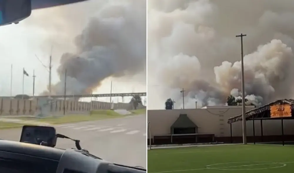 Incendio forestal en avenida Coronel Néstor Gambetta.