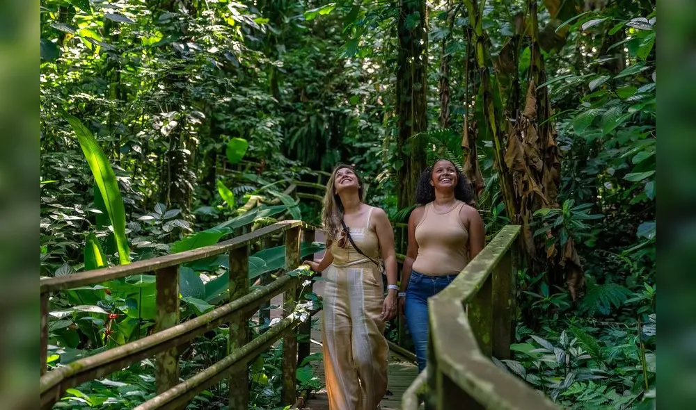 Safari en Brasil se transforma para hacer más sencilla la experiencia a los turistas. Safari en Brasil se transforma para hacer más sencilla la experiencia a los turistas.