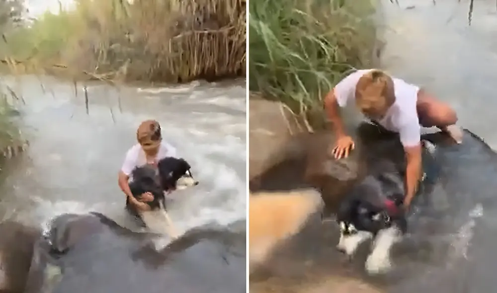 "No pensé que se iba a lanzar al agua", comentó Shuls tras salvar a can.