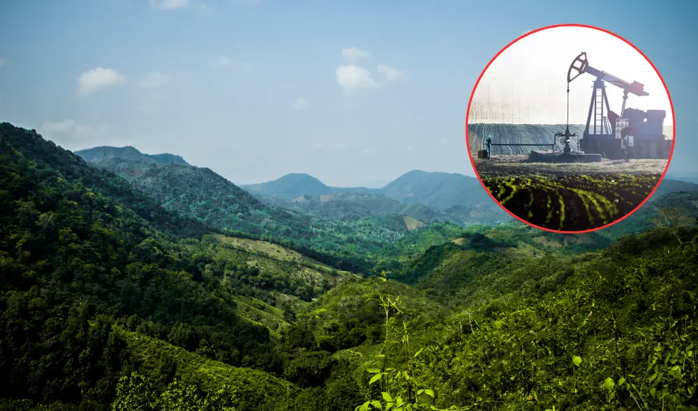 América Latina retrocedió con sus políticas a favor del medio ambiente. Foto: Composición LR