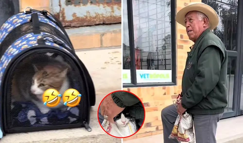 La reacción viral de dos gatos al ser llevados al veterinario de forma diferente La reacción viral de dos gatos al ser llevados al veterinario de forma diferente