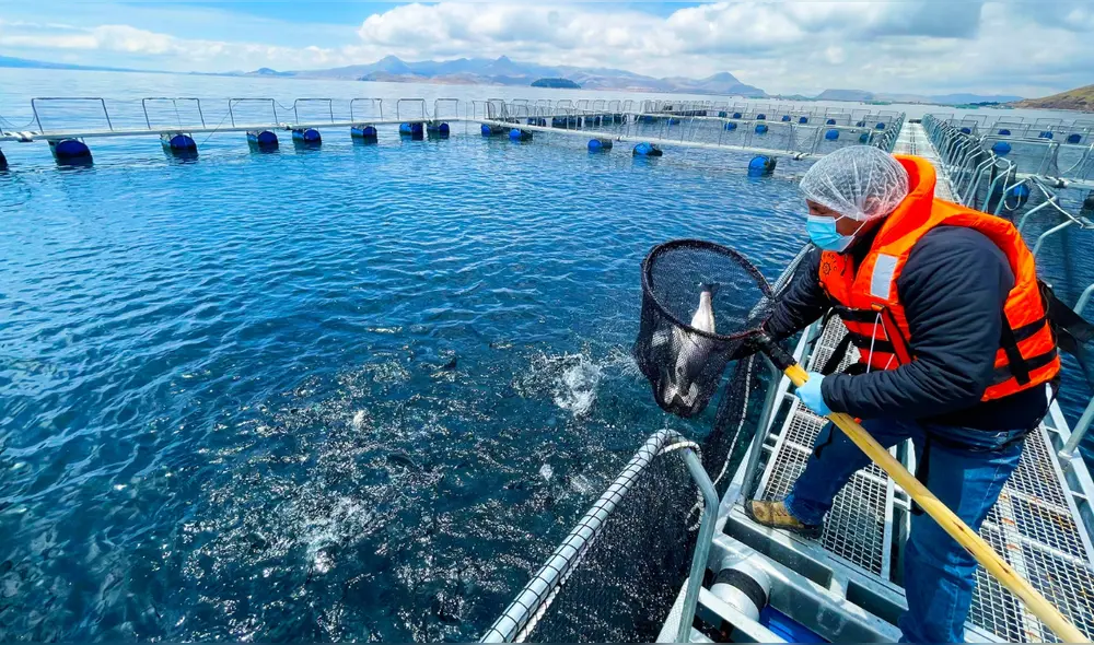 La región con ¿mayor número de operadores formalizados fue Piura. Foto: Sanipes