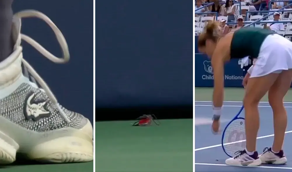 La experimentada tenista intentó salvar al insecto, pero el 'ball boy' lo piso. Foto: Lr/ESPN