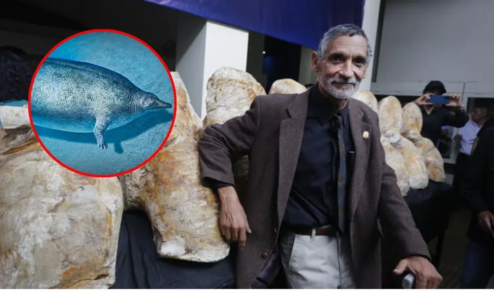 Paleontólogo peruano Mario Urbina Schmitt sorprende con el hallazgo de nuevas especies fósiles en Nasca