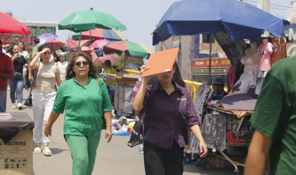"Esta zona la conforman distritos como Ate, El Agustino, La Molina y Lurigancho-Chosica, entre otros.