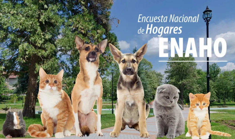ENAHO consultará información sobre mascotas. Foto: Composición LR
