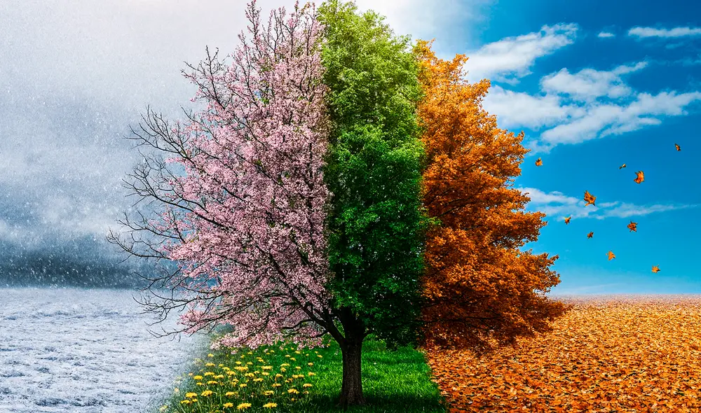 Una investigación reciente plantea que están surgiendo nuevas estaciones, creadas por el ser humano. Foto: La Noticia.