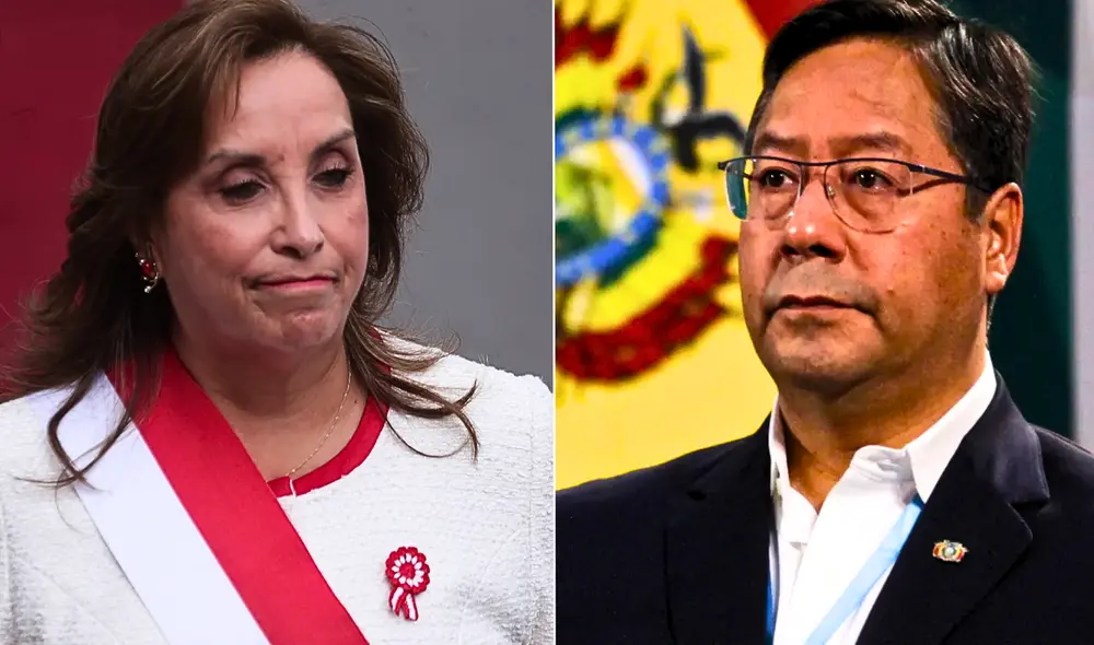 Luis Arce rechaza que Bolivia sea un país "fallido", tras declaración de Dina Boluarte. Luis Arce rechaza que Bolivia sea un país "fallido", tras declaración de Dina Boluarte.