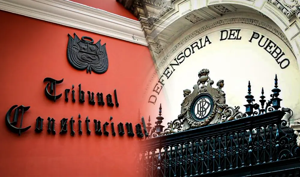 Tribunal Constitucional resolvió que la extensión de dominio rige a partir de 2018 | Foto: composición LR