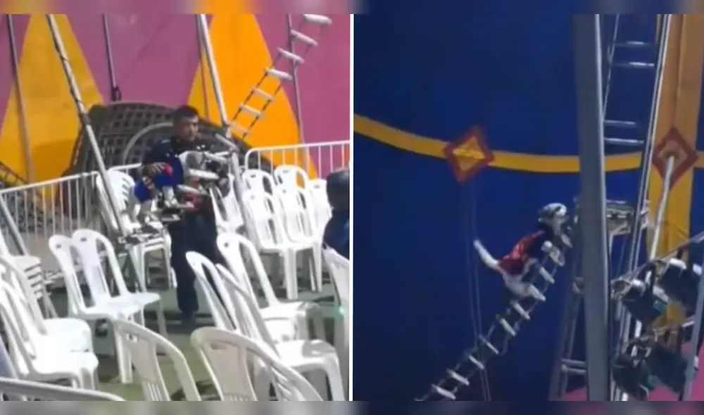 El Circo de los Hermanos Vásquez afirmó que, tras el incidente del 26 de julio, no presentan más espectáculos con animales.