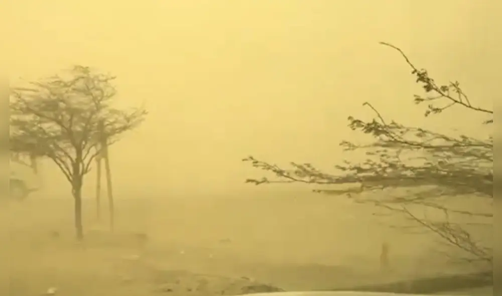 Ica: Viento Paracas se reporta en Ocucaje. Foto: Senamhi.