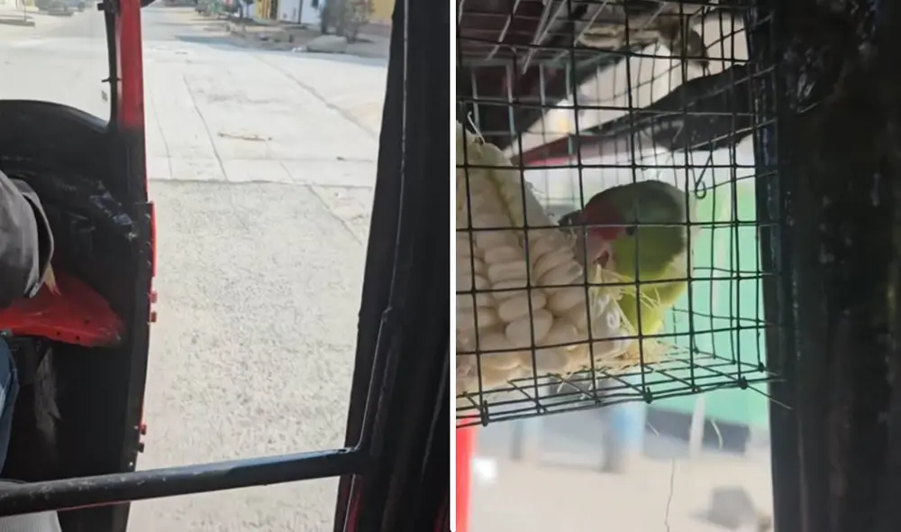 Video tiene miles de reproducciones en la plataforma.