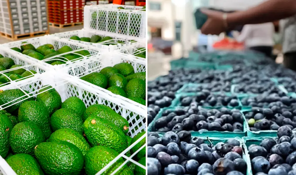 Agroexportaciones peruanas aumentaron un 26.1% este año en comparación al 2024.