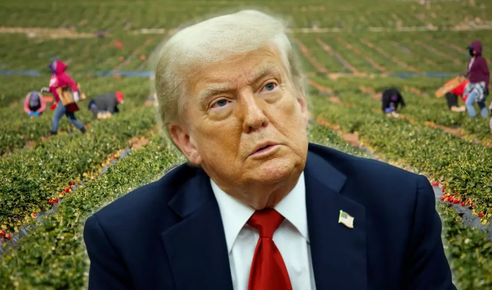 Donald Trump busca proteger a los empresarios agricultores.