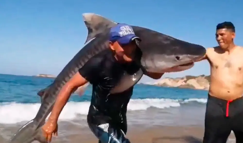 Video tiene miles de vistas en la plataforma.