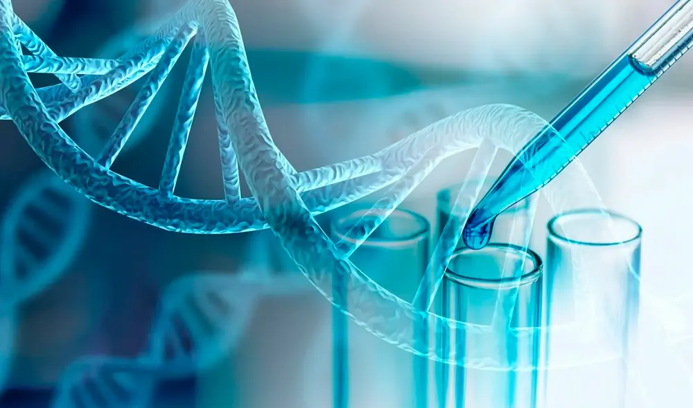 Un equipo de investigadores reveló genes que "provienen de la nada" y podrían ayudar en la lucha contra el cáncer.
