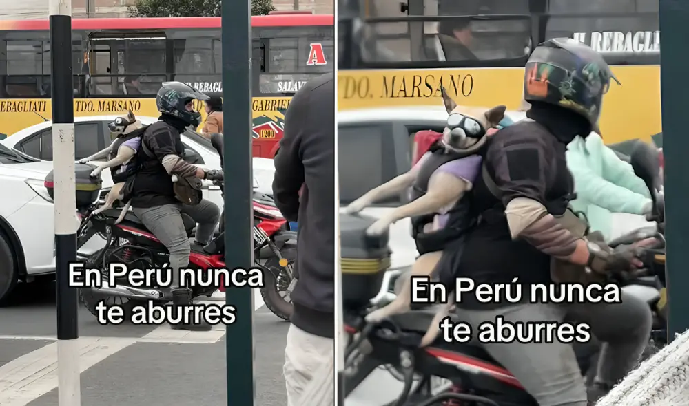 El hecho fue grabado mientras el joven conducía su moto y llevaba a su perro a cuestas.