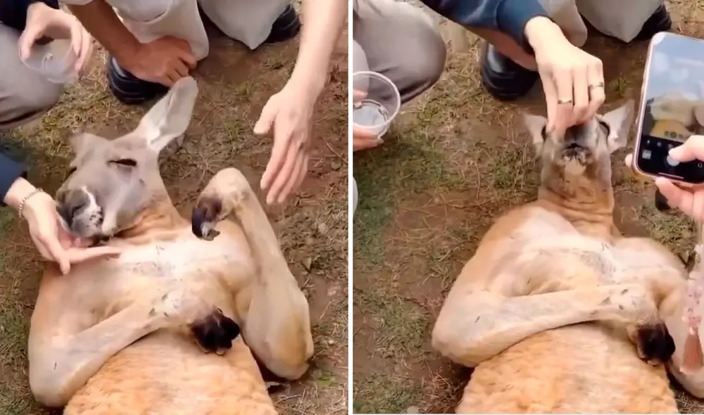 Video tiene miles de vistas en la plataforma.