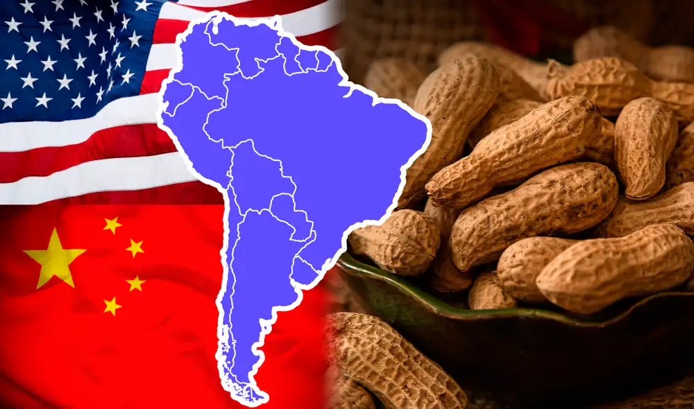 Argentina sembró 530.200 hectáreas de maní y logró un récord histórico. Foto: iStock