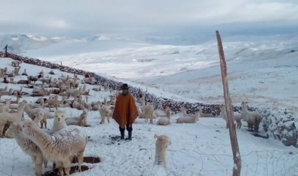 Se tiene previsto que este intenso frío estará hasta el mes de septiembre.