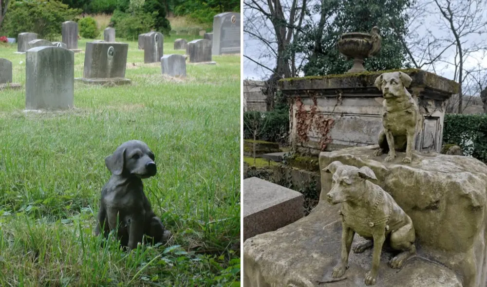 El cementerio de mascotas es una medida singular adoptada en Perú. El cementerio de mascotas es una medida singular adoptada en Perú.
