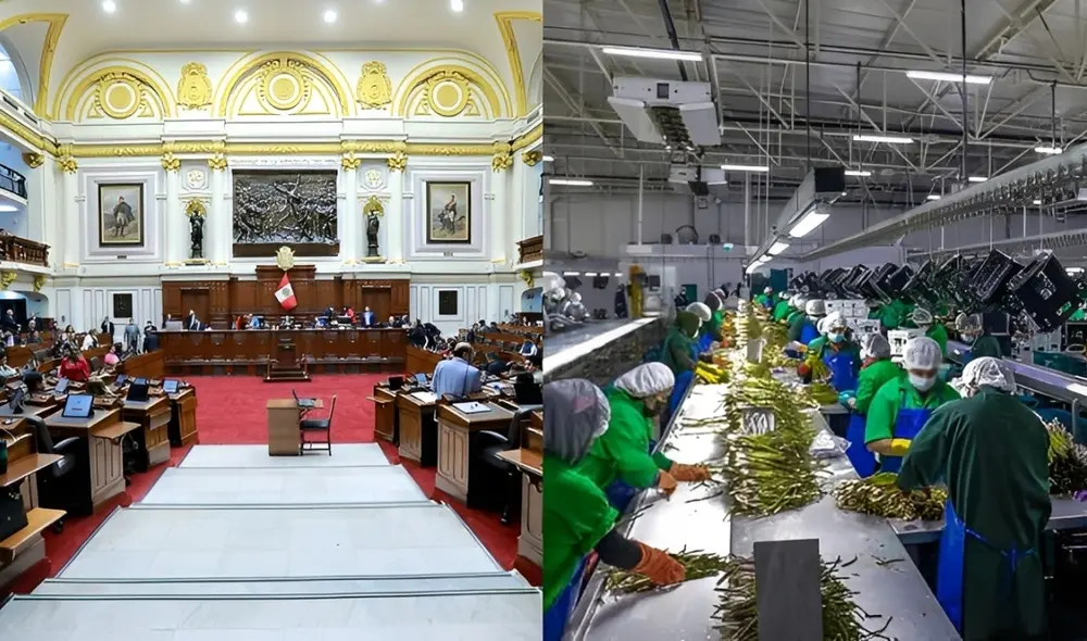 Congreso aprobó en segunda votación la nueva ley agraria que reduce impuestos a grandes agroexportadoras.