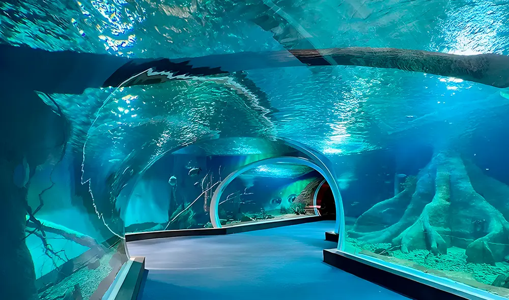 El Bioparque Pantanal, el acuario de agua dulce más grande del mundo: 440 especies e investigación en Brasil. Foto: IStock El Bioparque Pantanal, el acuario de agua dulce más grande del mundo: 440 especies e investigación en Brasil. Foto: IStock