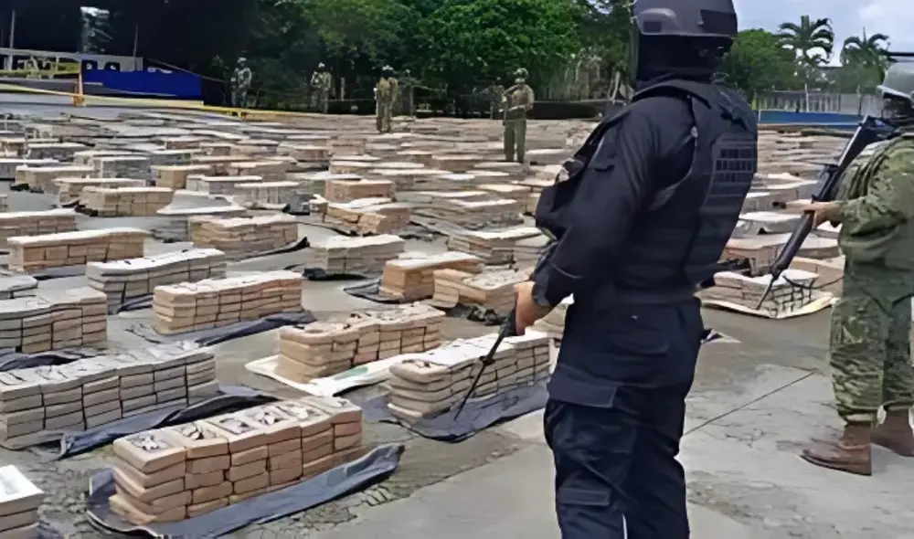 PNP decomisó 50 kilos de hoja de coca seca. Foto: AFP PNP decomisó 50 kilos de hoja de coca seca. Foto: AFP