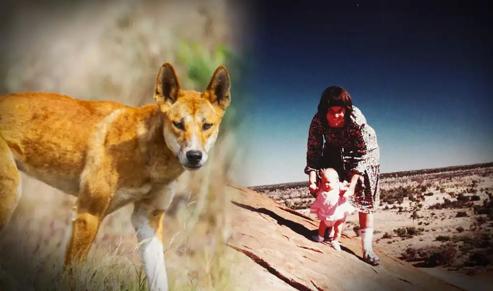 Lindy Chamberlain fue enviada a prisión acusada de matar a su hija, cuando la menor fue atacada por un dingo.