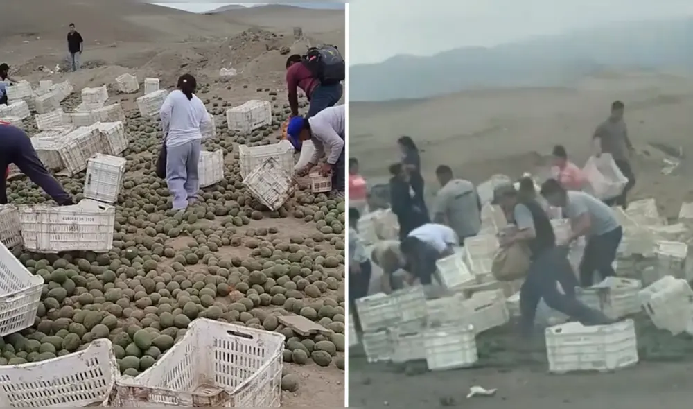 Ciudadanos en Asia utilizaron bolsas, mochilas y hasta las mismas jabas del cargamento para llevarse las paltas regadas. Foto: Composición LR