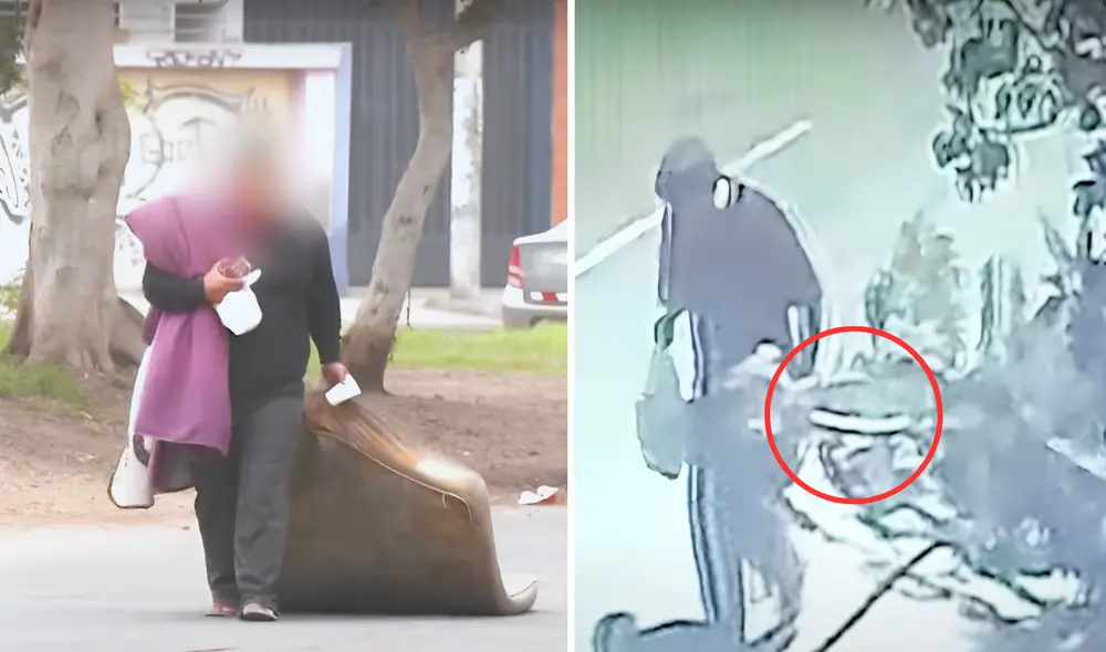 Hombre ha roto árboles de algunas casas, según los vecinos. Foto: Composición LR/24 Horas