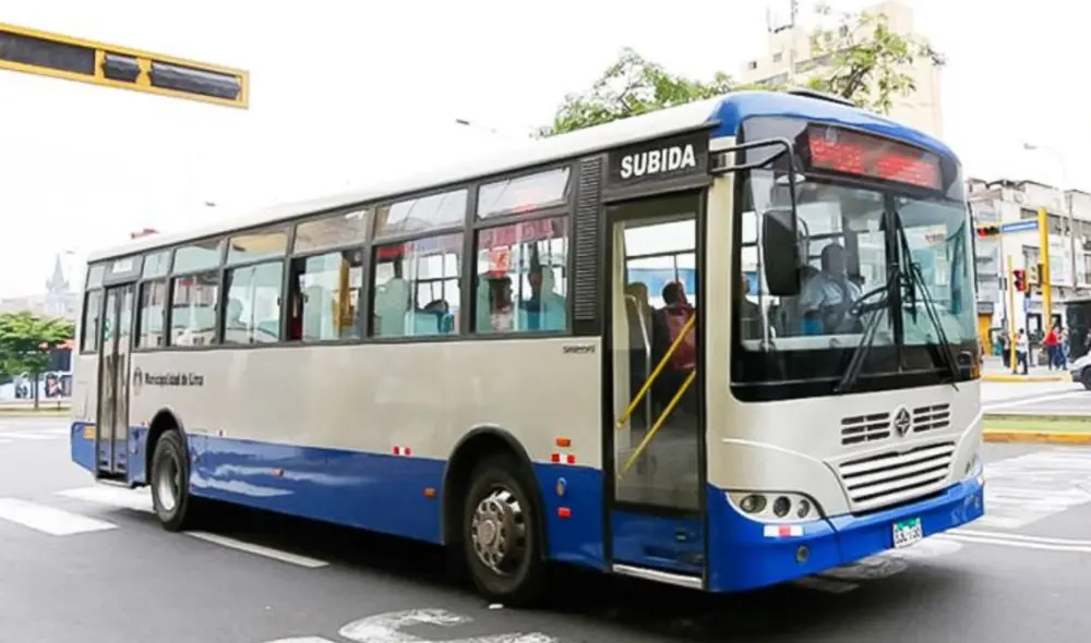 Estos corredores transportes a miles de personas todos los días.