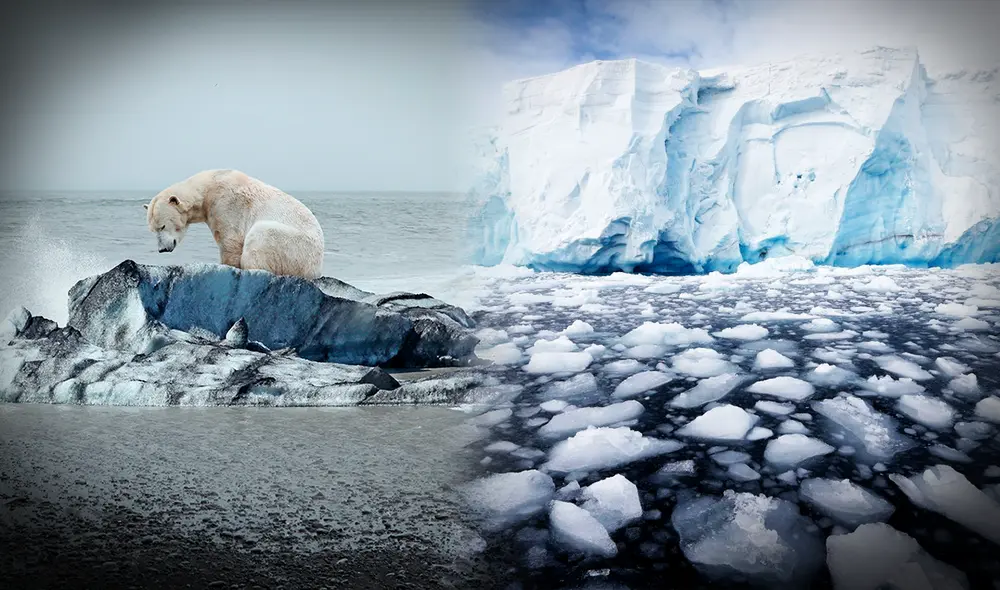 Las consecuencias por el cambio climático en la Antártida podrían afectar a todo el mundo. Las consecuencias por el cambio climático en la Antártida podrían afectar a todo el mundo.