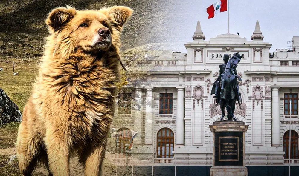 Propuesta fue aprobada por unanimidad en el Congreso de la República. Foto: Gerson Cardoso/LR